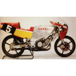 Garelli 125 ex Domnico Brigaglia 