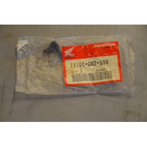 Plug 11106-GM2-300 Honda RC