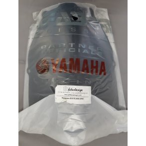 Kbeglas Kawasaki ZX6R 2000-2002