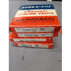 Stempel ringst KAWASAKI KZ900 A4 A5 B1 C2 Z1.