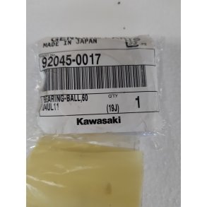 Bearing Z900 rg.2018