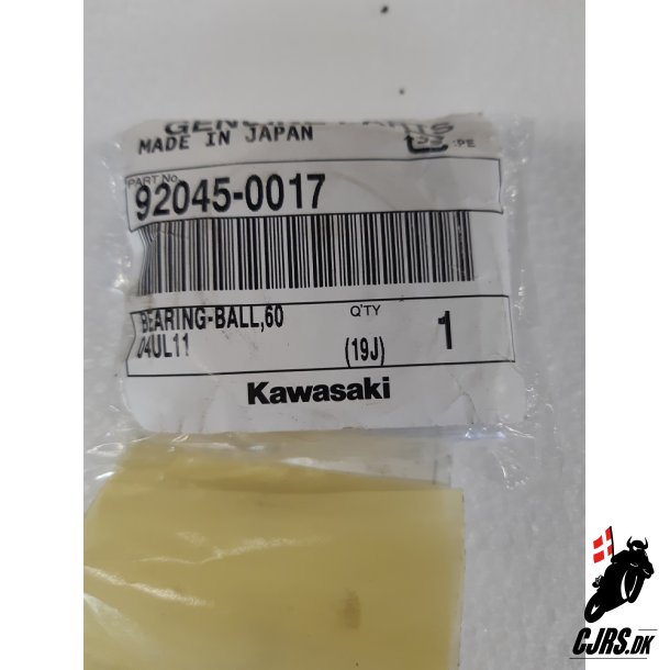 Bearing Z900 rg.2018