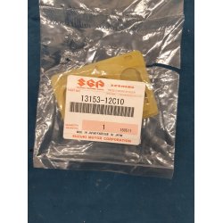 Suzuki RGV 250 Membramblade