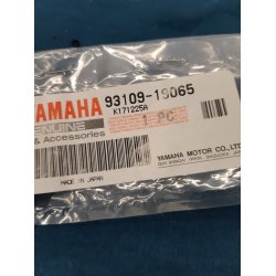 Yamaha TZR 250 3XV oil seal 93109-19065
