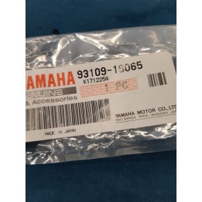 Yamaha TZR 250 3XV oil seal 93109-19065