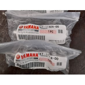 Yamaha TDR250 TZR 250 2MA Powerventil K2-1