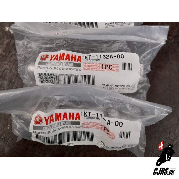 Yamaha TDR250 TZR 250 2MA Powerventil K2-1