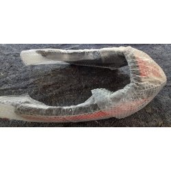 Yamaha RD 350 sdebagstykke