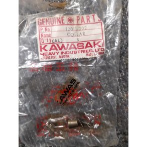 KAWASAKI Z900 ventills 12011-002