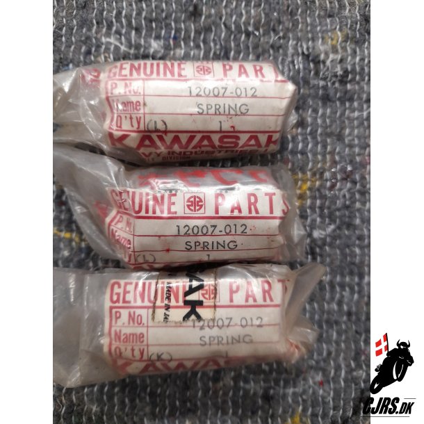 KAWASAKI Z650/Z900/Z1300 ventifjeder 12007-012