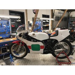 Yamaha TZ 250 G 1980