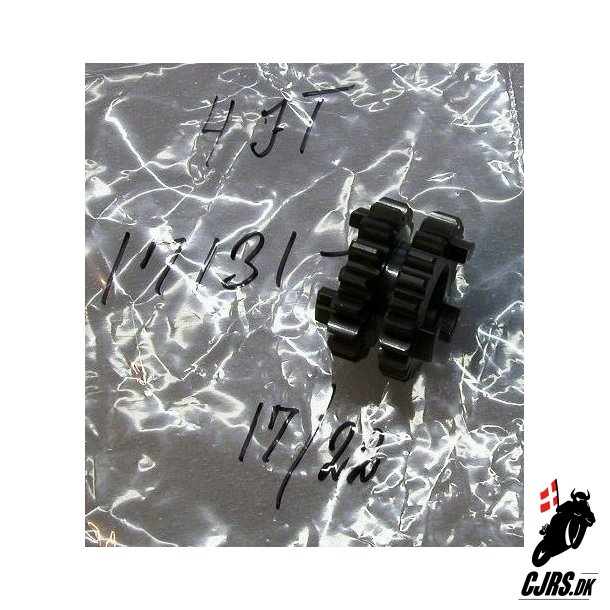 GEAR 17/22T	4JT-17131-kit