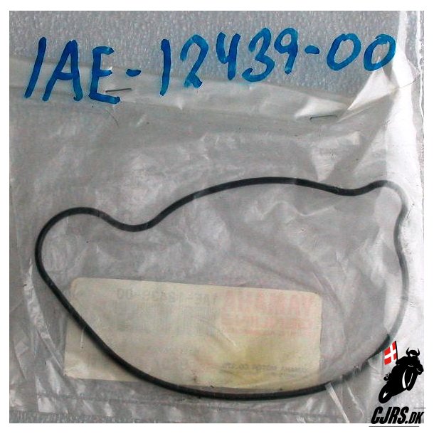 O RING	1AE-12439-00