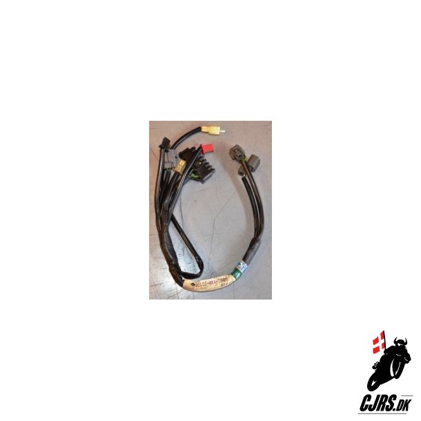 Ledningsnet 32100-NX4-000