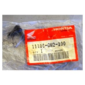 Slange 11106-GM2-300